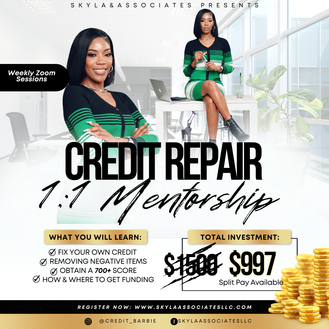 1:1 Credit Repair Mentorship