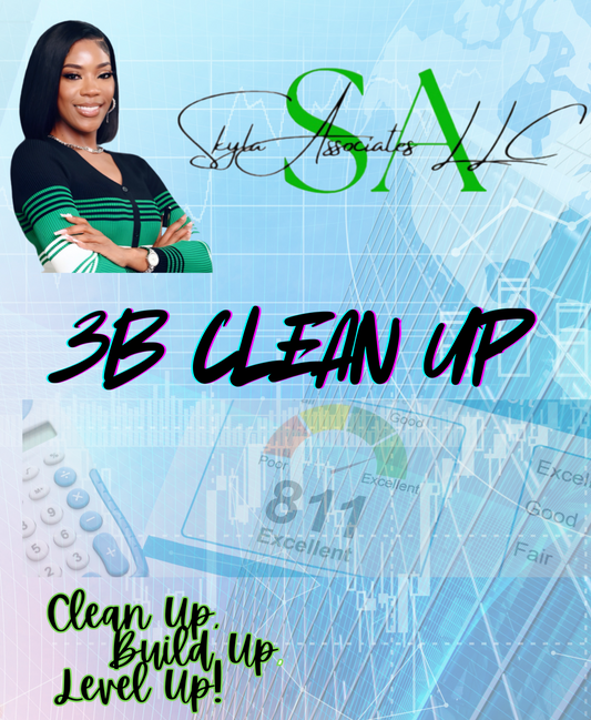 3B CLEANUP